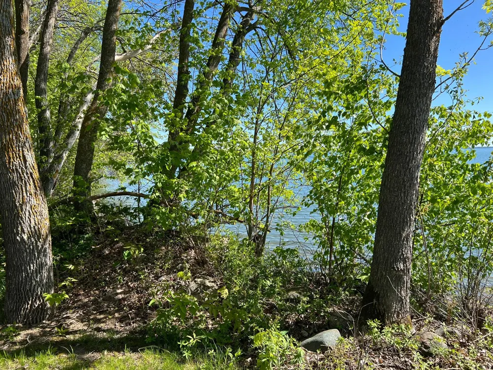 TBD Camper Landing Road NW Cass Lake, MN 56633