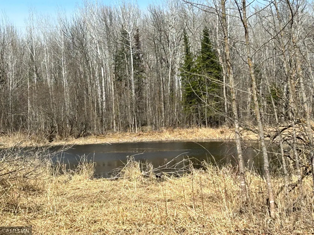 22841 Hwy 71 NE #22841/22843 Hines, MN 56647