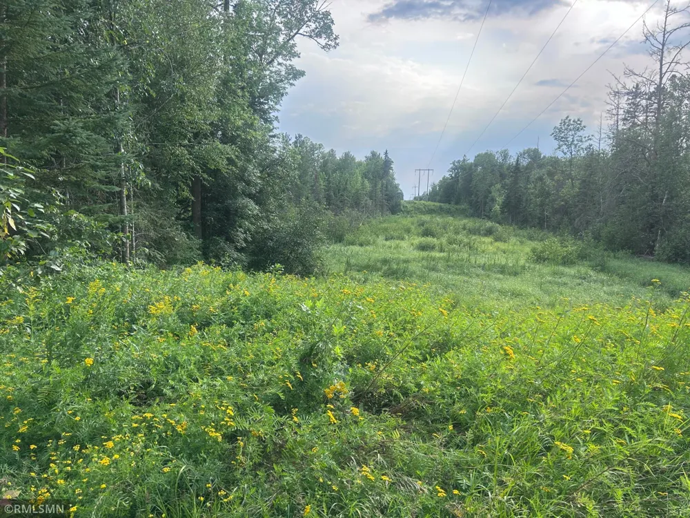 22841 Hwy 71 NE #22841/22843 Hines, MN 56647