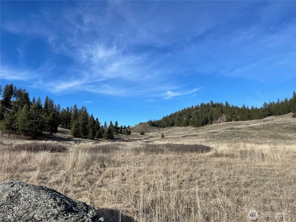 5170 Pheasant Way Fruitland, WA 99129
