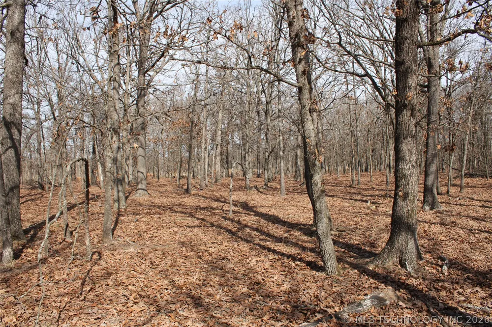 8101 S 700 ROAD Wyandotte, OK 74370