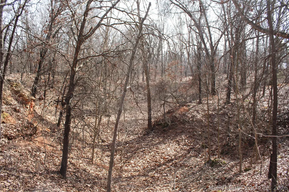 8101 S 700 ROAD Wyandotte, OK 74370