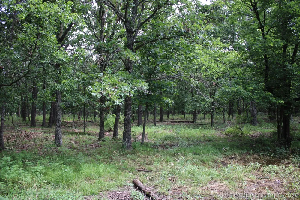 8101 S 700 ROAD Wyandotte, OK 74370