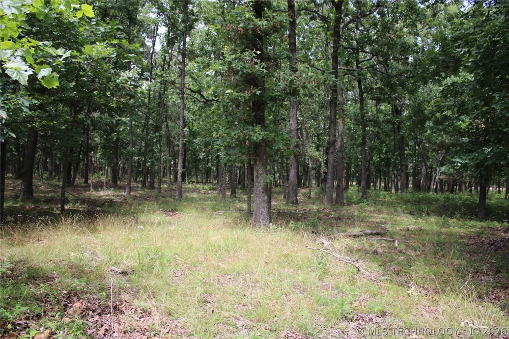 8101 S 700 ROAD Wyandotte, OK 74370