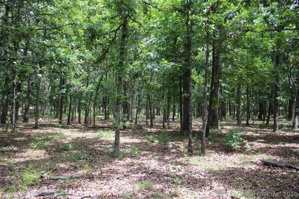 8101 S 700 ROAD Wyandotte, OK 74370