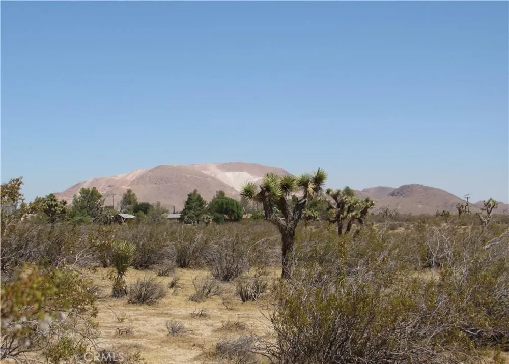346-214-55-00-0 Gibbs Avenue Mojave, CA 93501