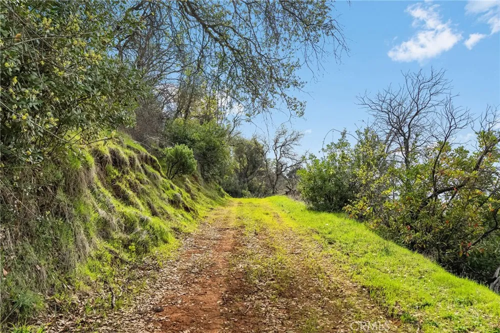 Canyon Creek Road Berry Creek, CA 95916