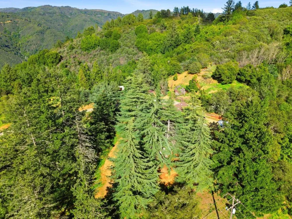Loma Prieta Los Gatos, CA 95033
