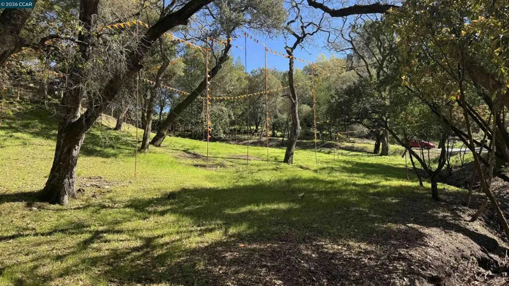 822 Acalanes Rd Lafayette, CA 94549