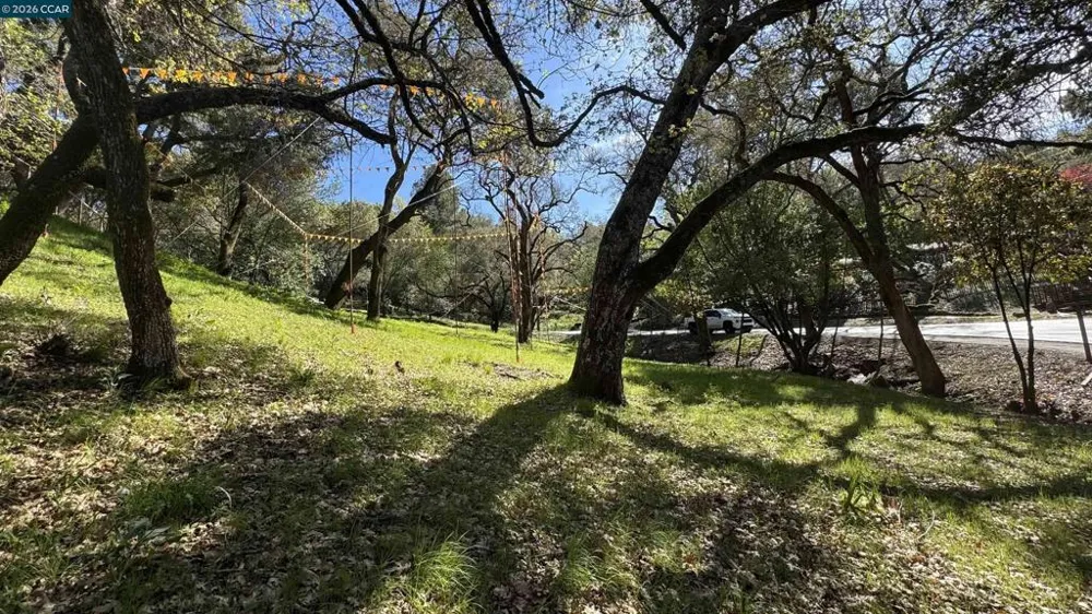 822 Acalanes Rd Lafayette, CA 94549