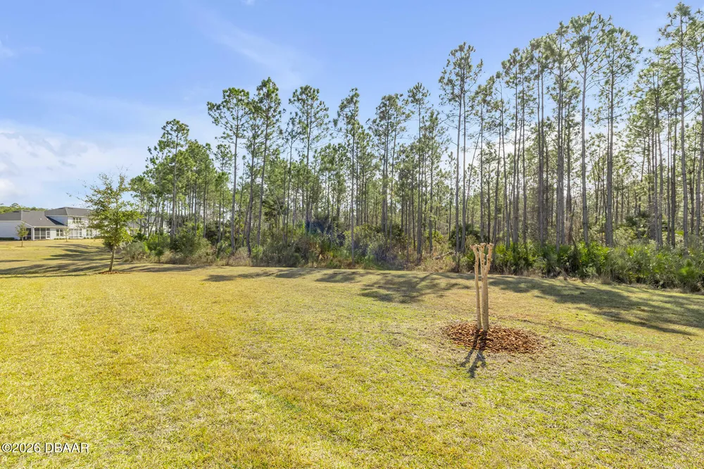 13 Newhaven Lane Ormond Beach, FL 32174