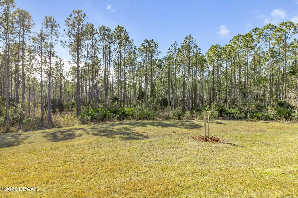13 Newhaven Lane Ormond Beach, FL 32174