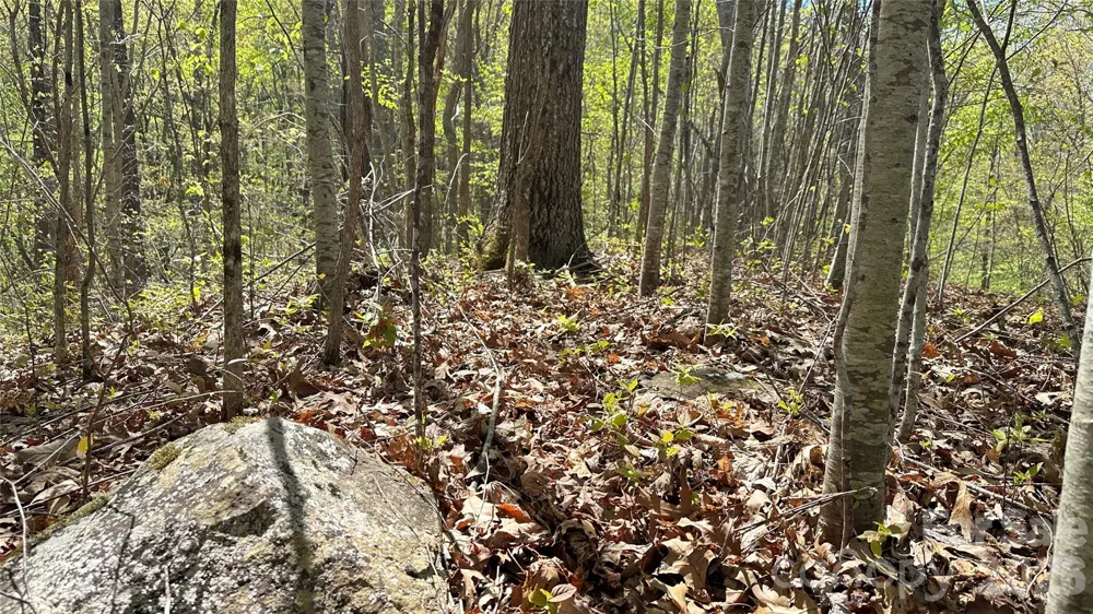0000 Oat Field Road #5B Tuckasegee, NC 28783