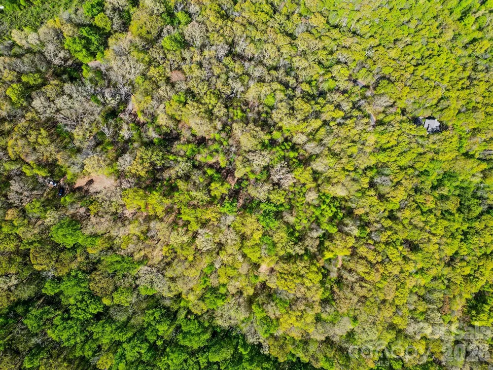 0000 Oat Field Road #5B Tuckasegee, NC 28783