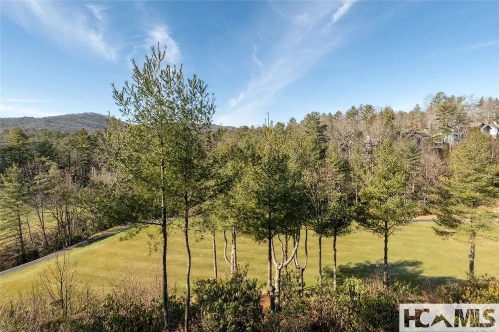 86 Racquet Club Villas Drive #B Sapphire, NC 28774