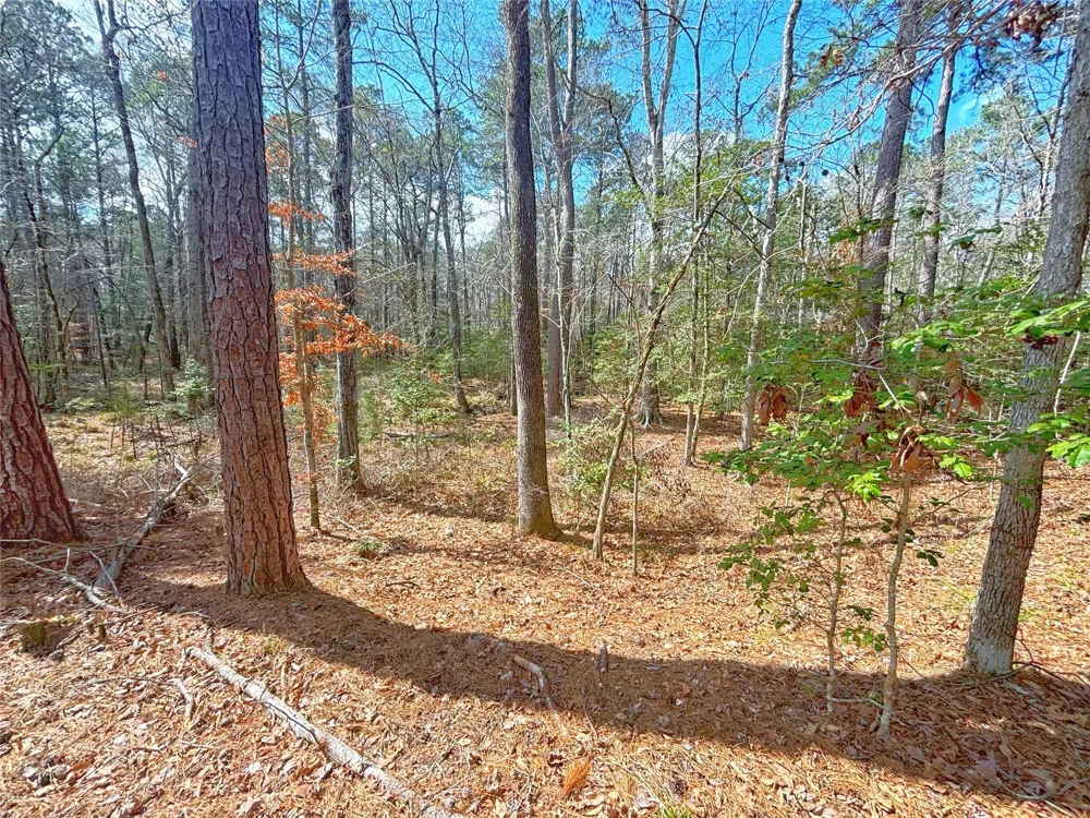 Cr 1200 Hemphill, TX 75948