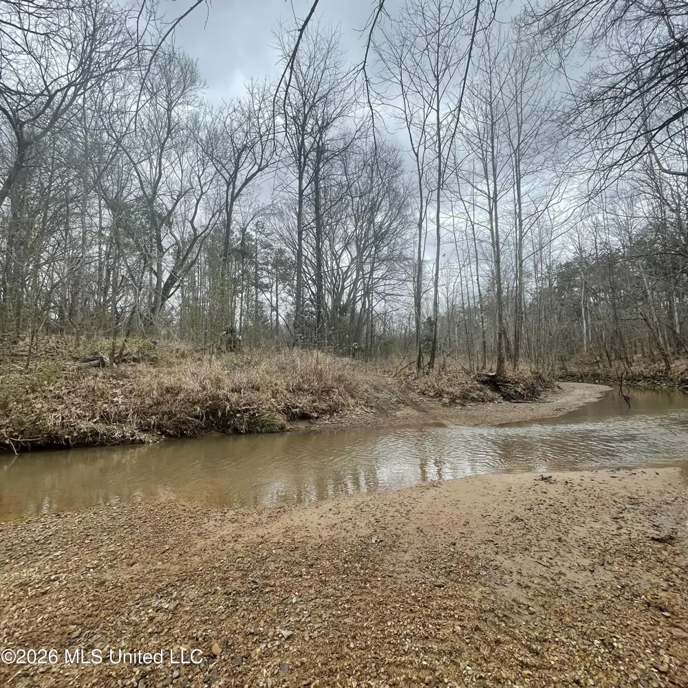 157 Eulogy Road Lexington, MS 39095