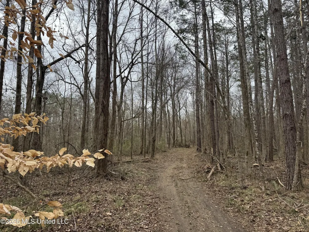 157 Eulogy Road Lexington, MS 39095