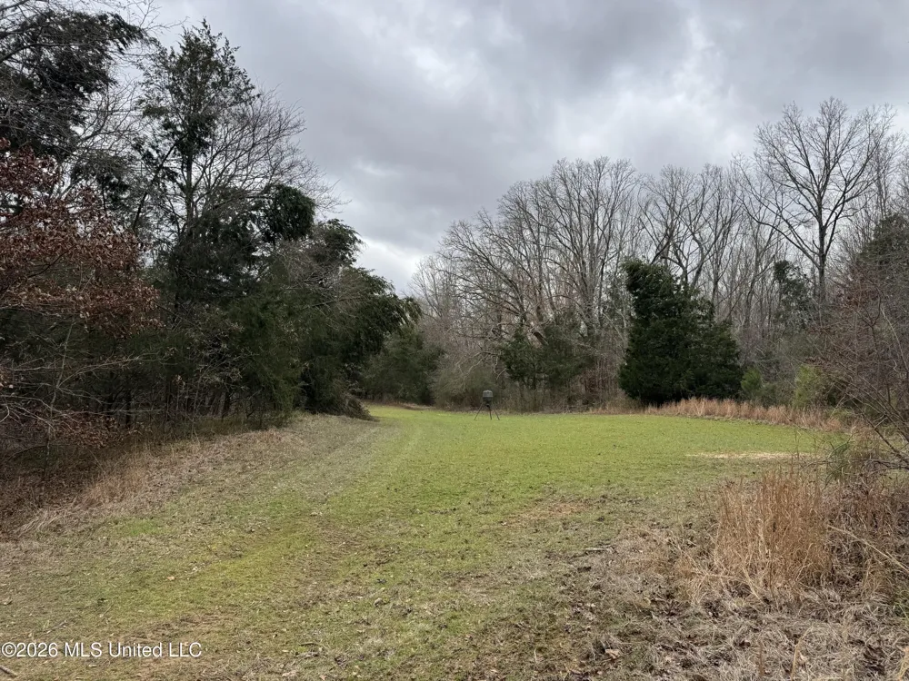 157 Eulogy Road Lexington, MS 39095