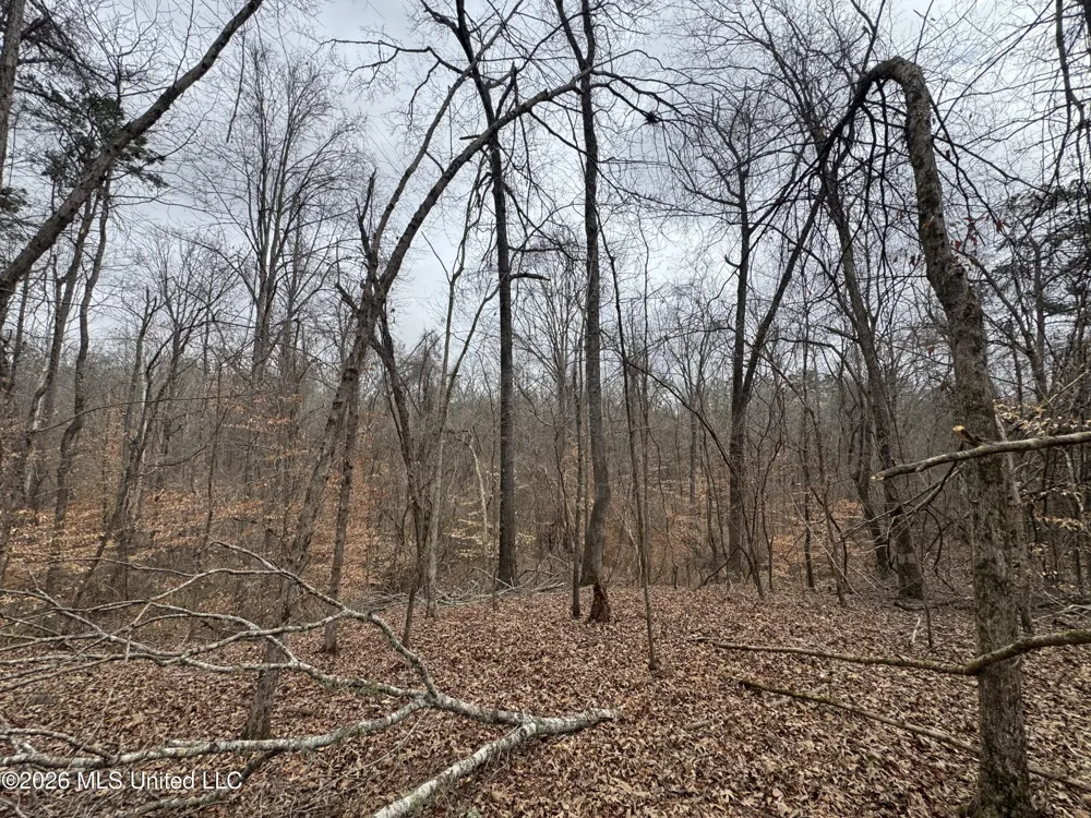 157 Eulogy Road Lexington, MS 39095