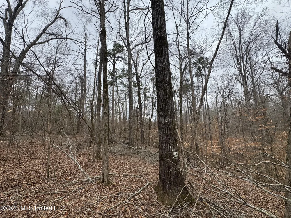 157 Eulogy Road Lexington, MS 39095