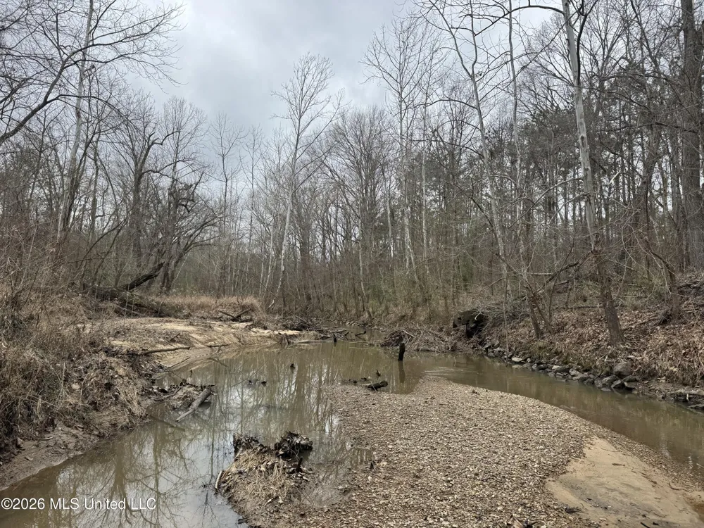 157 Eulogy Road Lexington, MS 39095