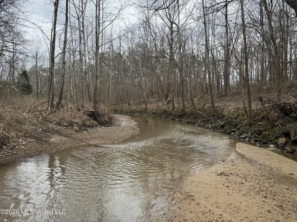 157 Eulogy Road Lexington, MS 39095