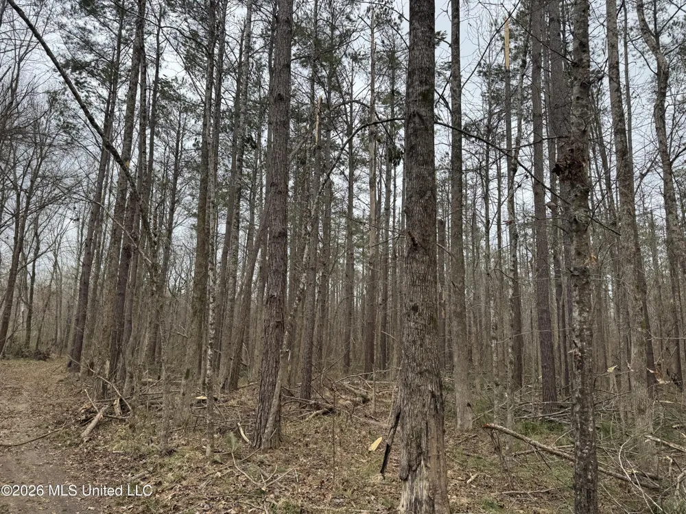157 Eulogy Road Lexington, MS 39095