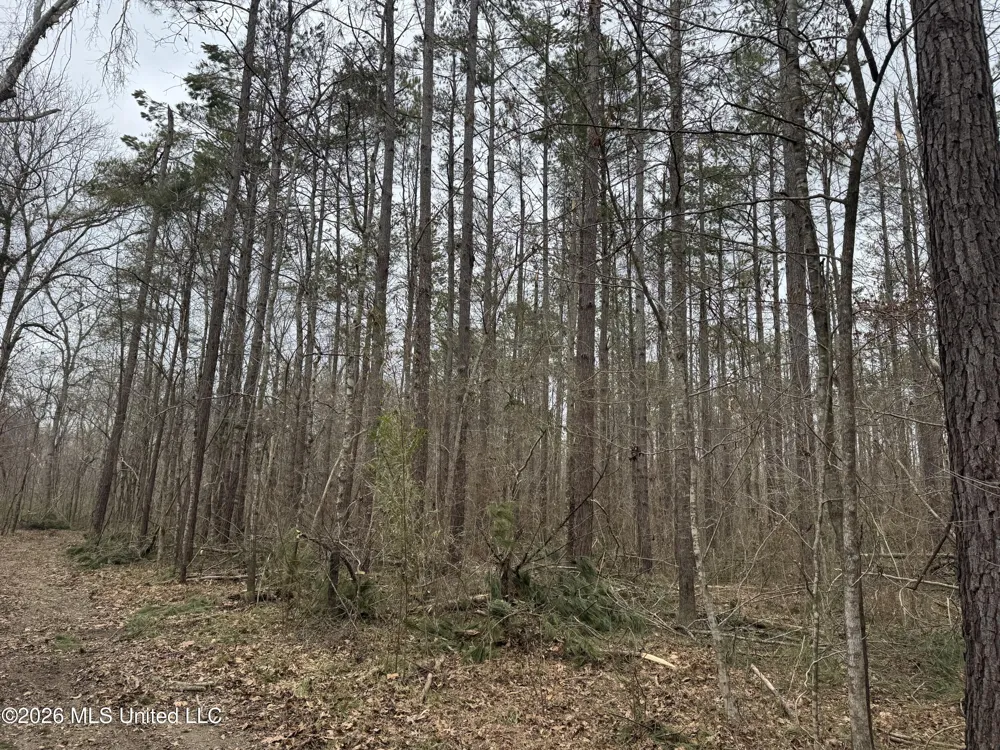 157 Eulogy Road Lexington, MS 39095