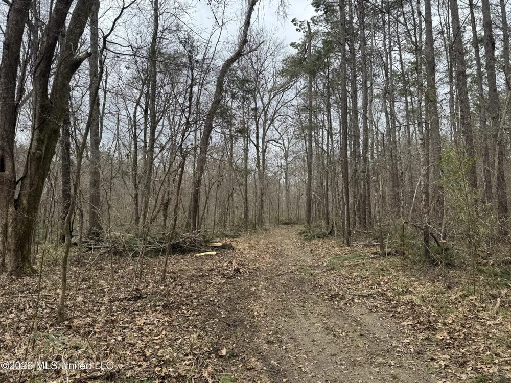 157 Eulogy Road Lexington, MS 39095