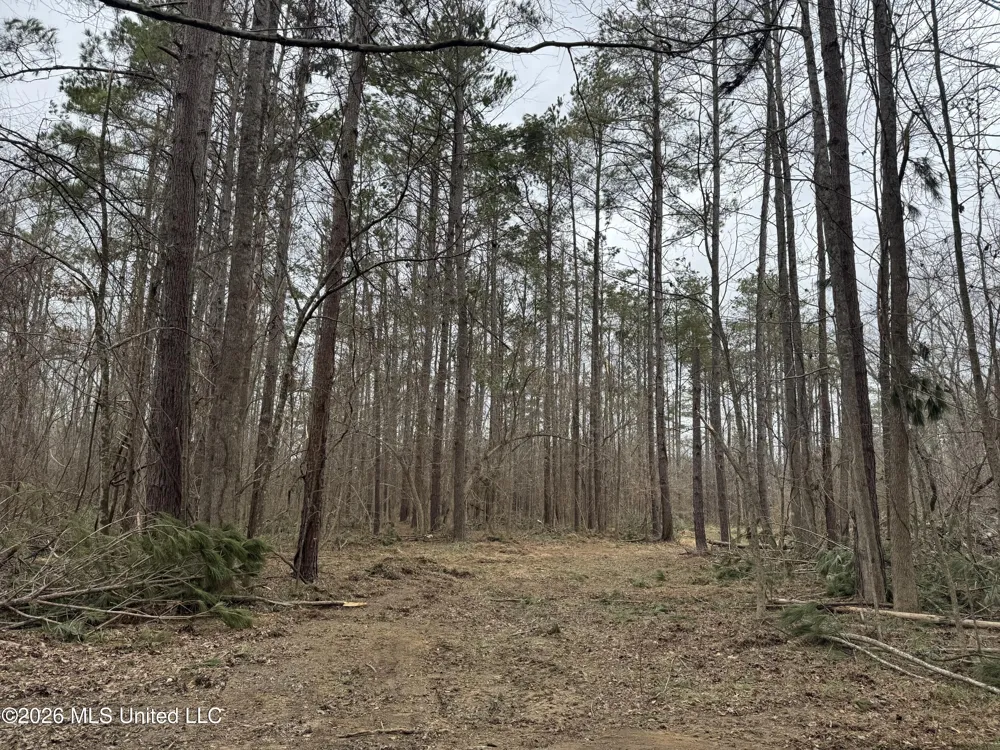 157 Eulogy Road Lexington, MS 39095