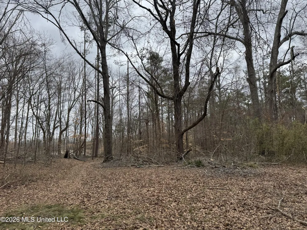 157 Eulogy Road Lexington, MS 39095