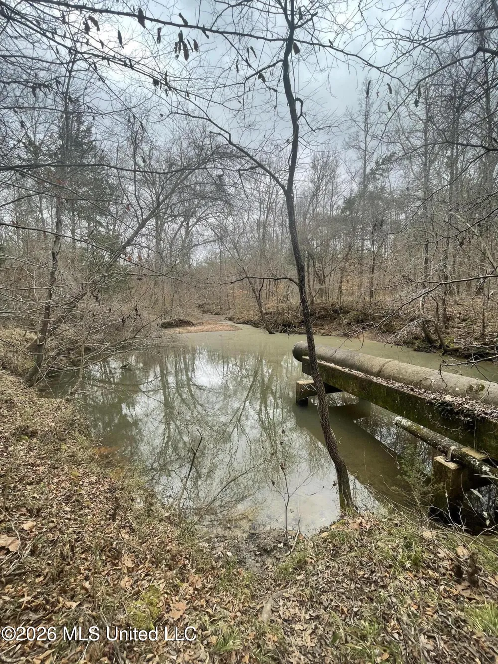 157 Eulogy Road Lexington, MS 39095
