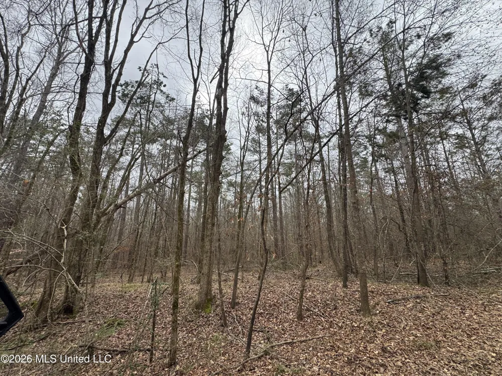 157 Eulogy Road Lexington, MS 39095