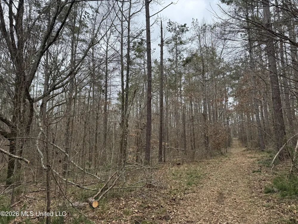157 Eulogy Road Lexington, MS 39095