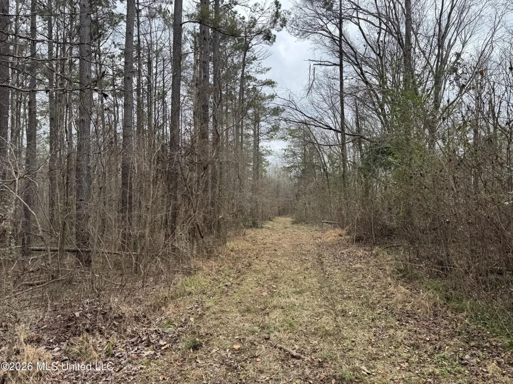 157 Eulogy Road Lexington, MS 39095