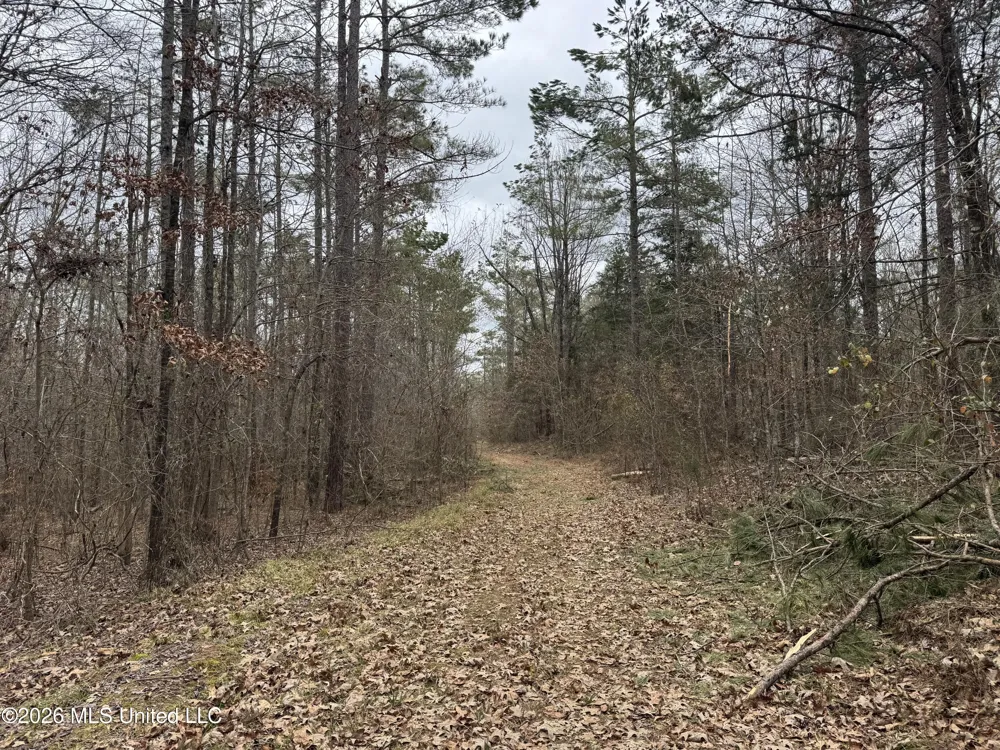 157 Eulogy Road Lexington, MS 39095