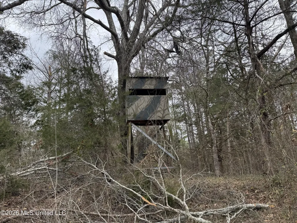 157 Eulogy Road Lexington, MS 39095
