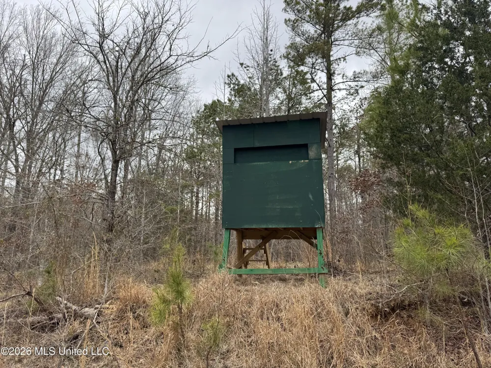 157 Eulogy Road Lexington, MS 39095