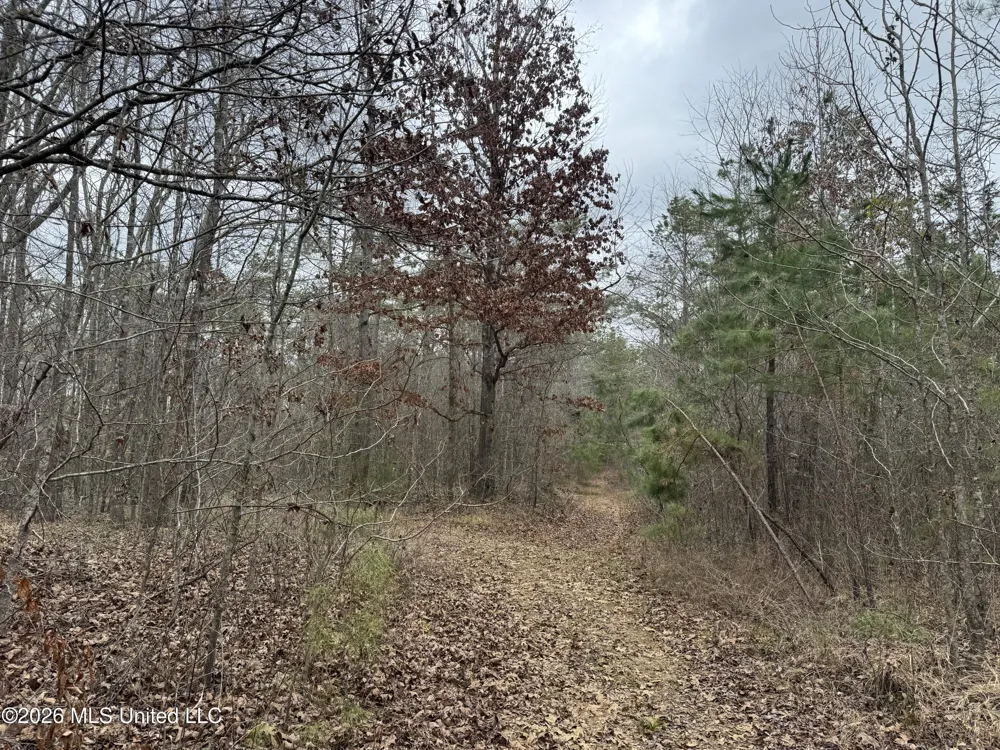 157 Eulogy Road Lexington, MS 39095