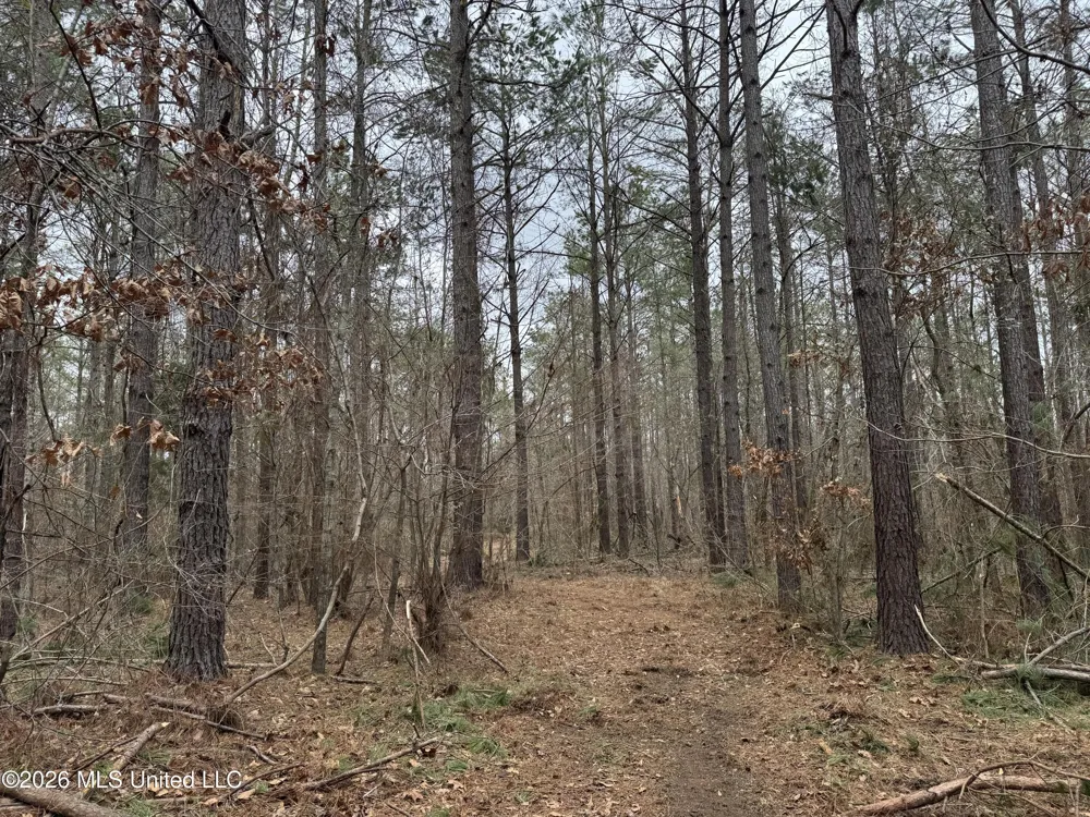 157 Eulogy Road Lexington, MS 39095