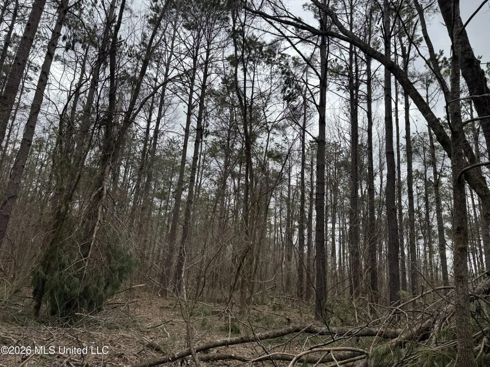 157 Eulogy Road Lexington, MS 39095