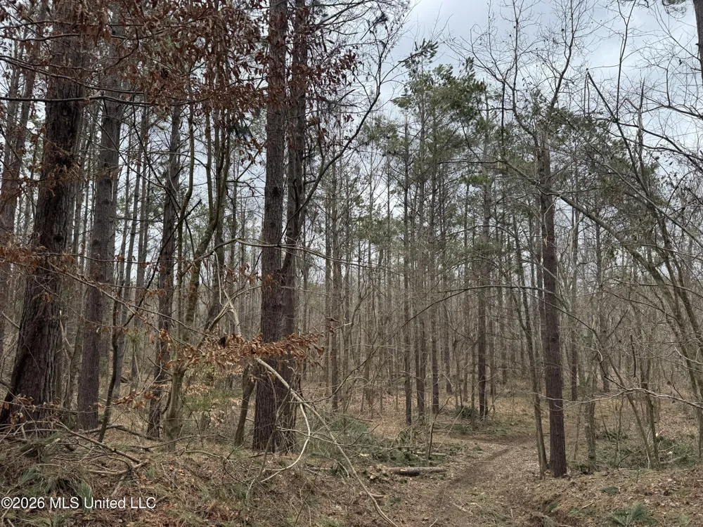 157 Eulogy Road Lexington, MS 39095