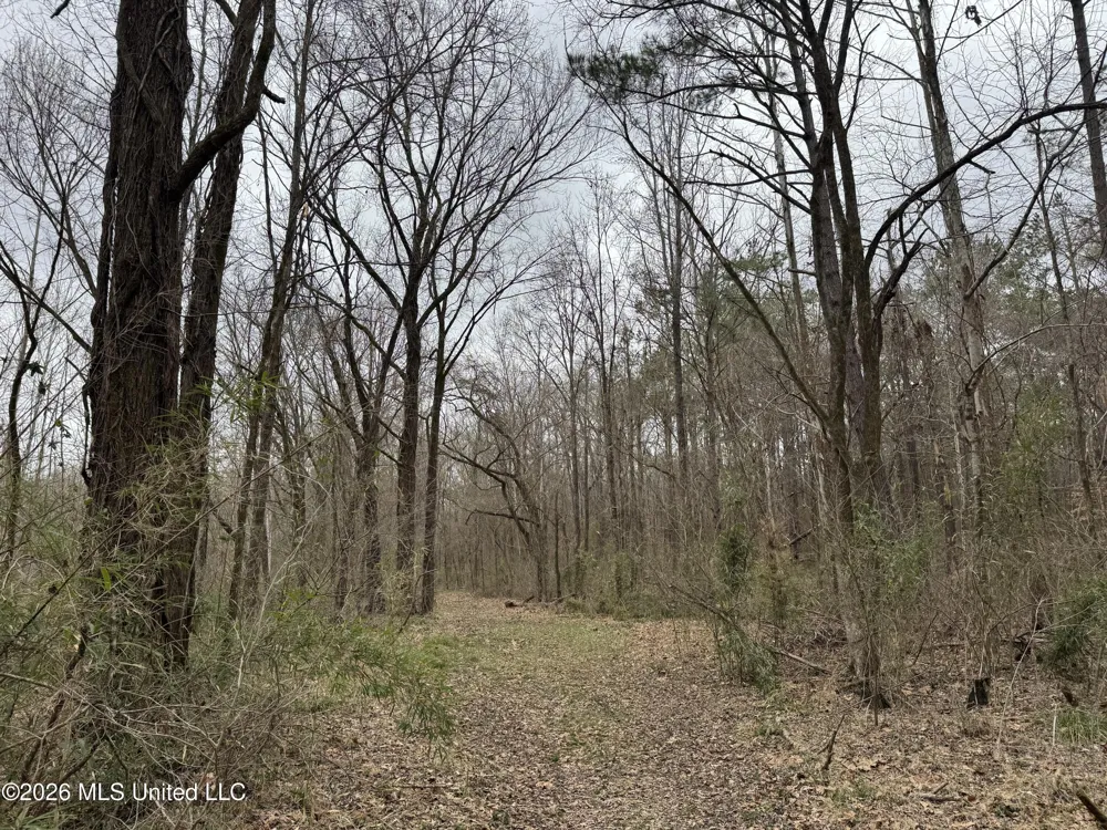 157 Eulogy Road Lexington, MS 39095