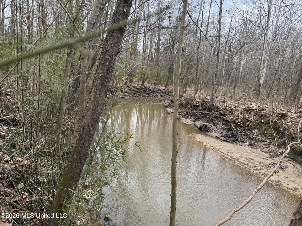 157 Eulogy Road Lexington, MS 39095