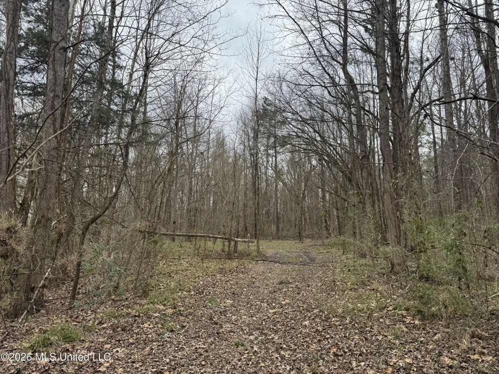 157 Eulogy Road Lexington, MS 39095