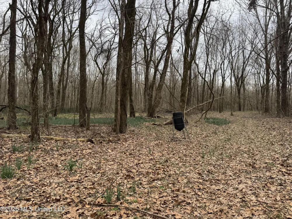 157 Eulogy Road Lexington, MS 39095