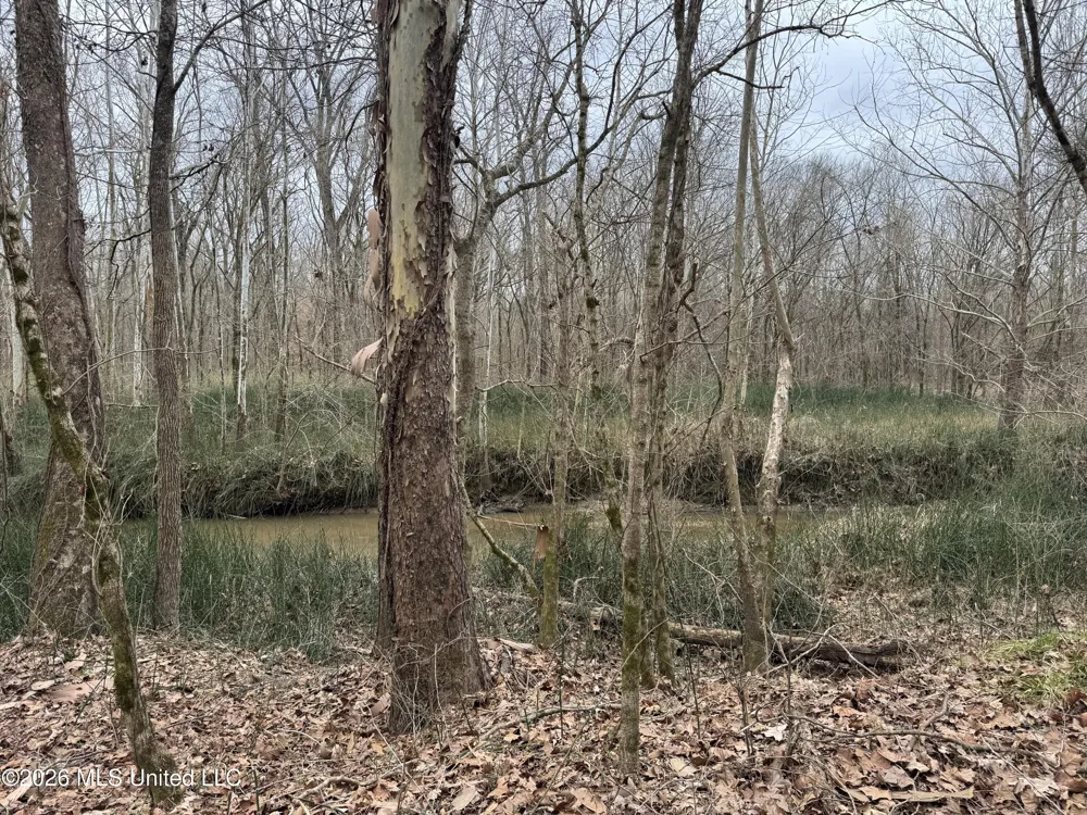 157 Eulogy Road Lexington, MS 39095
