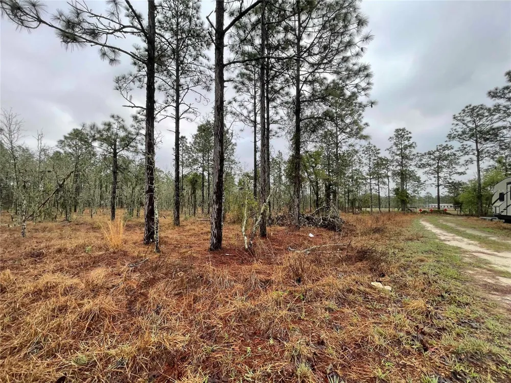 TBD SE 71 STREET Morriston, FL 32668