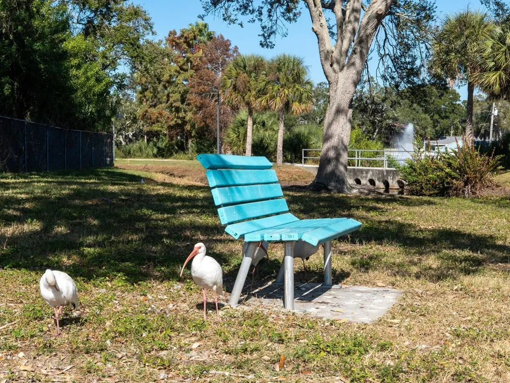6251 10TH AVENUE S Gulfport, FL 33707